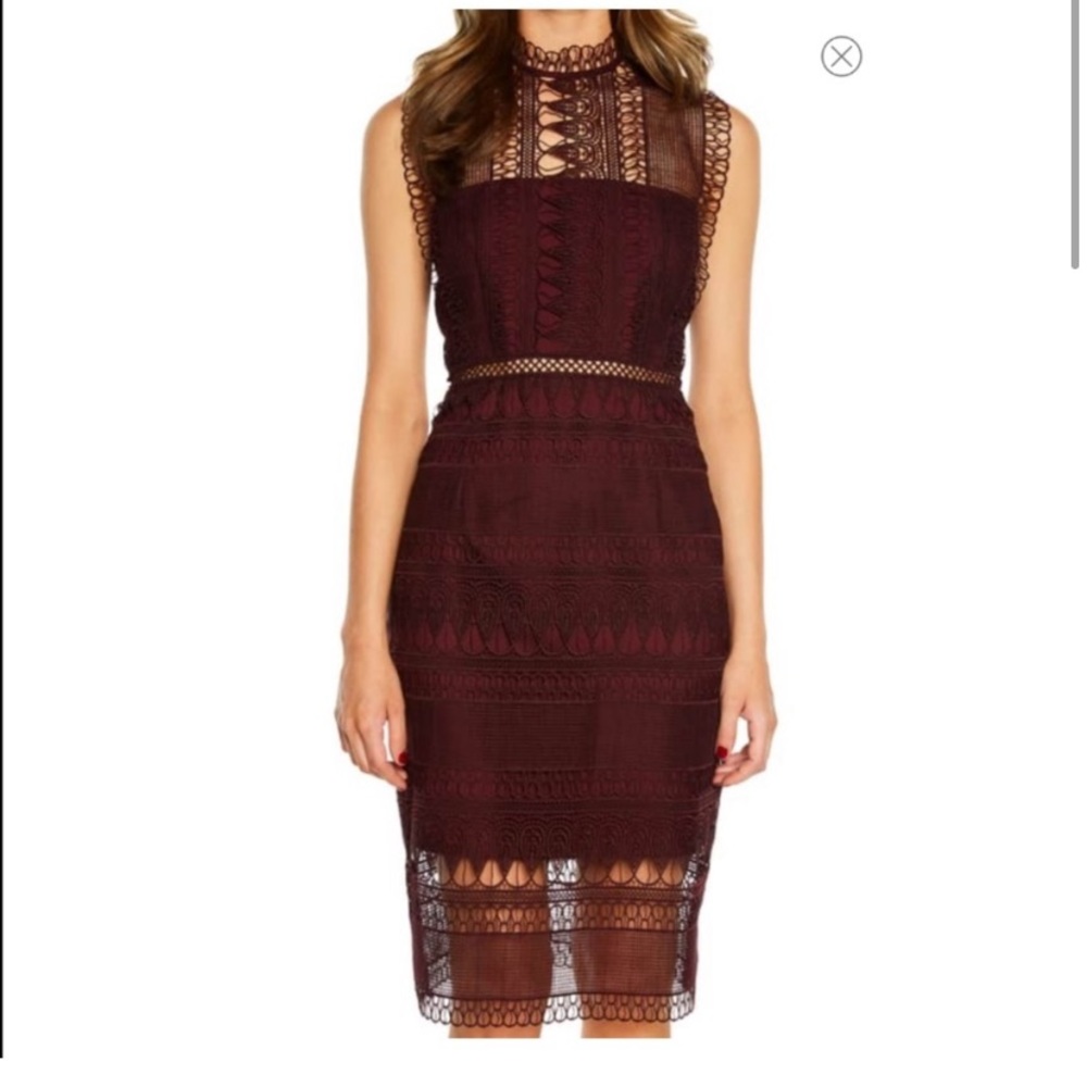 NWT gorgeous Bardot lace dress